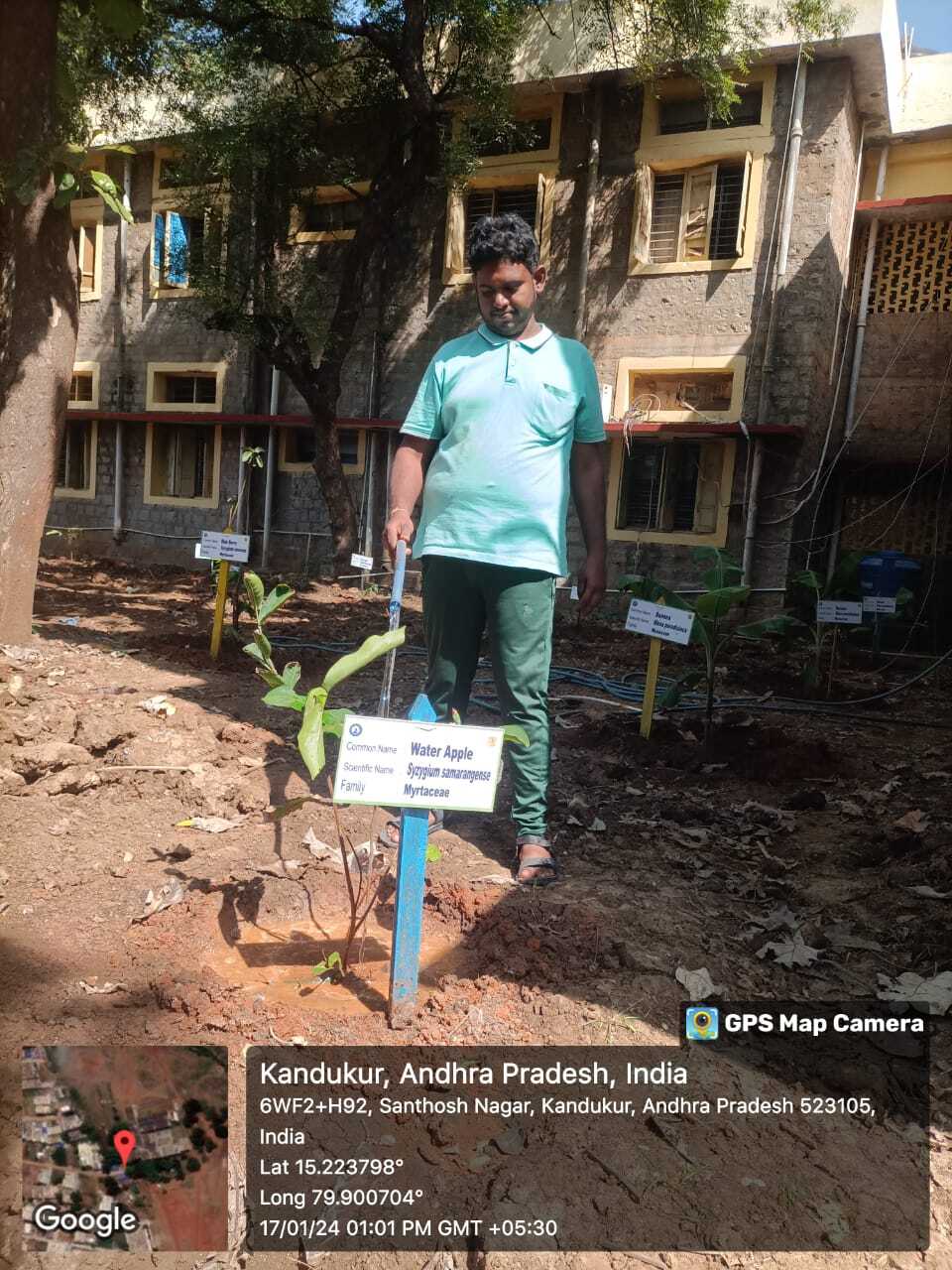 Eco-zone: An envisioned analogy